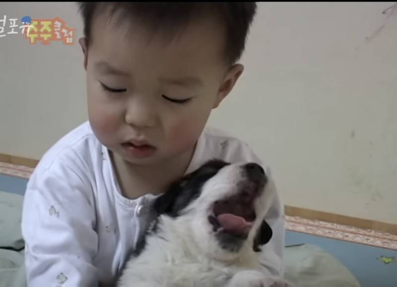 이거 너무 귀엽다 👶🏻+🐶 | 인스티즈