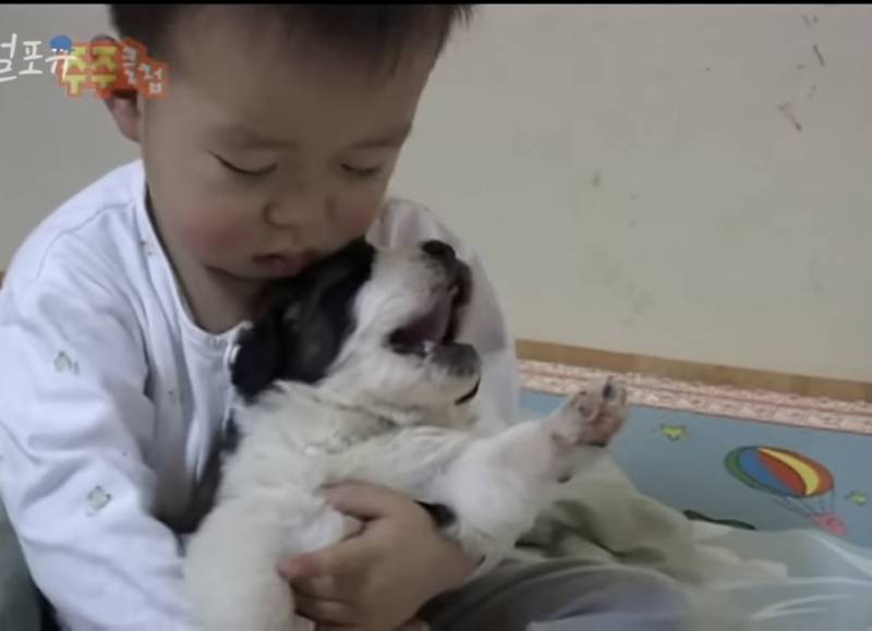 이거 너무 귀엽다 👶🏻+🐶 | 인스티즈
