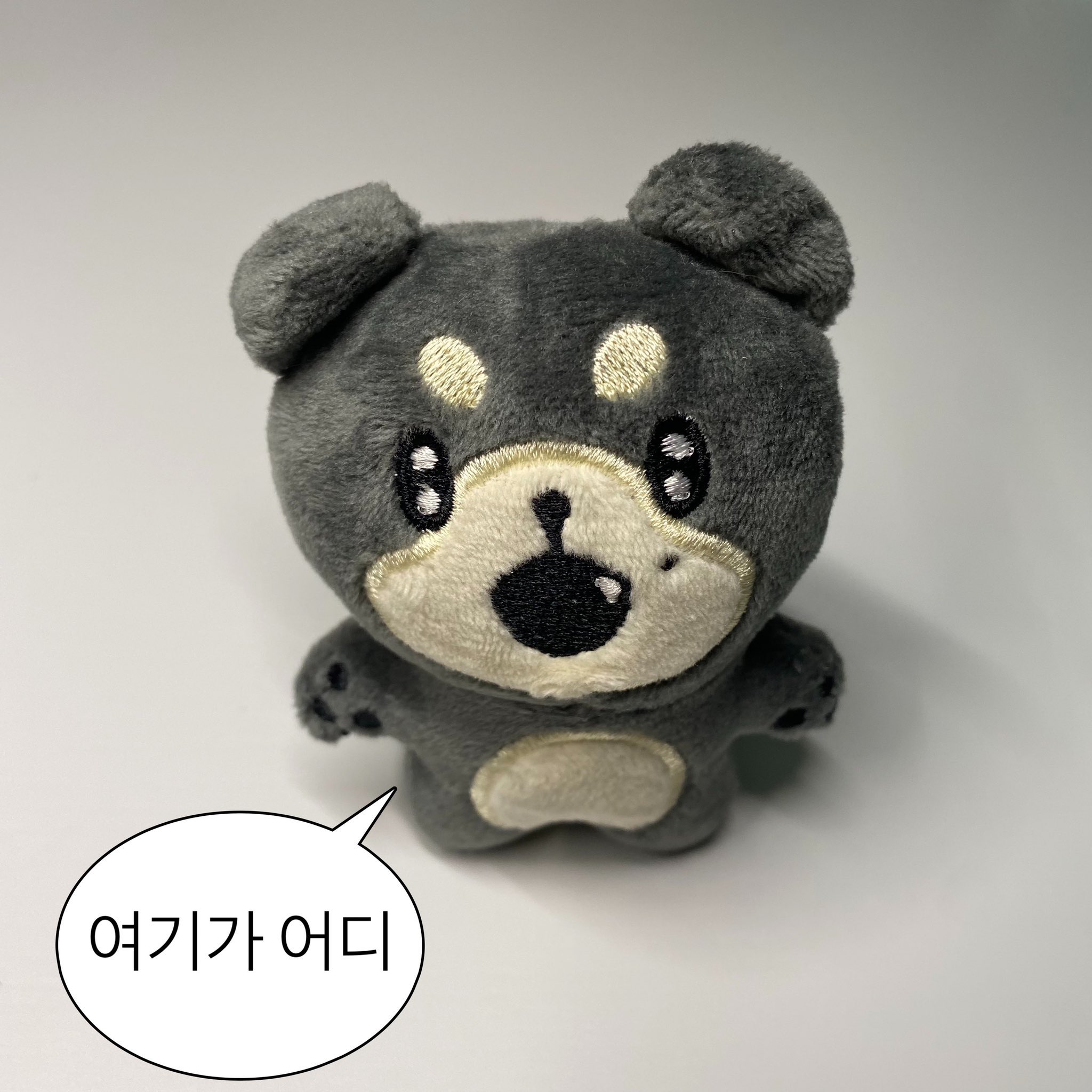 [잡담] 인형 뭐 살지 골라줄 사람 | 인스티즈