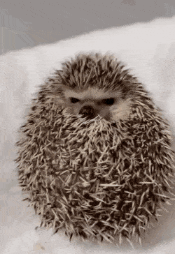 내가 삶이 힘들때 보는 사진들 | 인스티즈