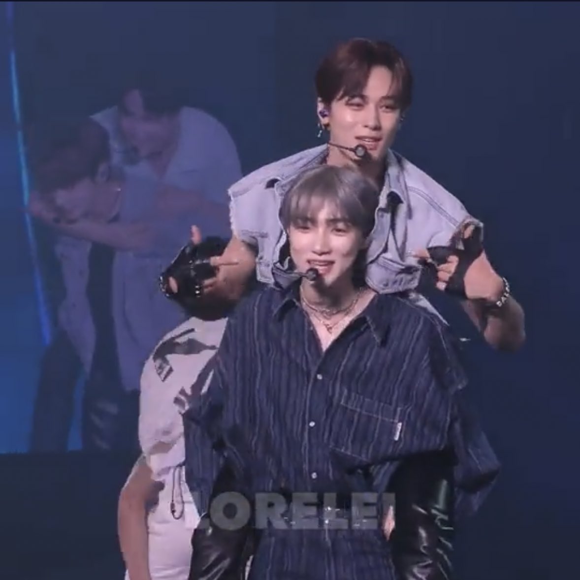 [잡담] 와 냥돕냥 | 인스티즈