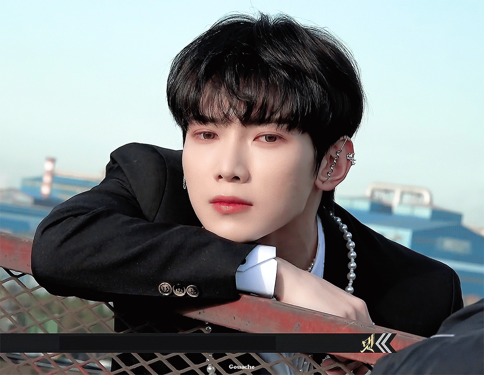 [잡담] 강아지상 미남들에게 약한 고양이 어쩔거야 | 인스티즈