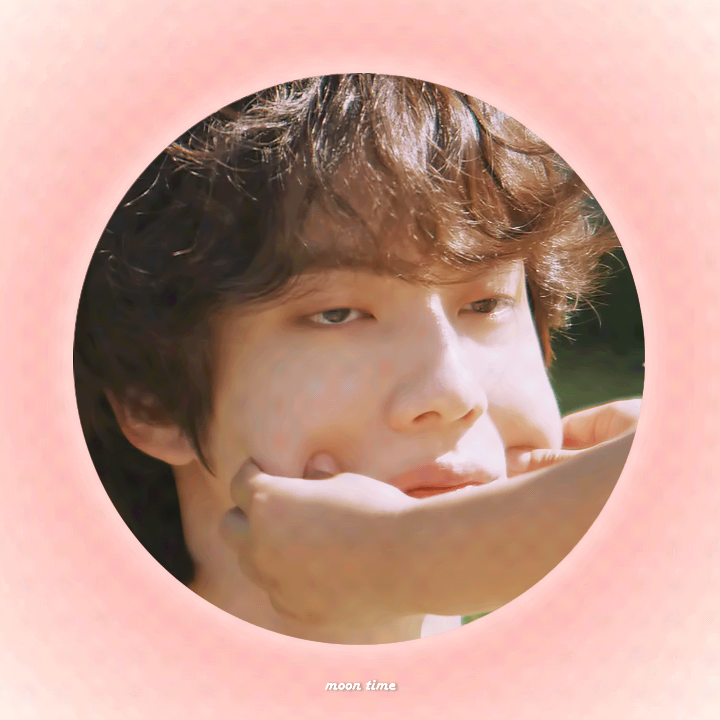 [잡담] 방탄 진 다양하게 볼따구 잡히는거 | 인스티즈