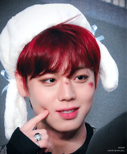 [잡담] 나 박지훈이 너무 좋타,, 어떡하냐,,,,,,,,,,,, | 인스티즈