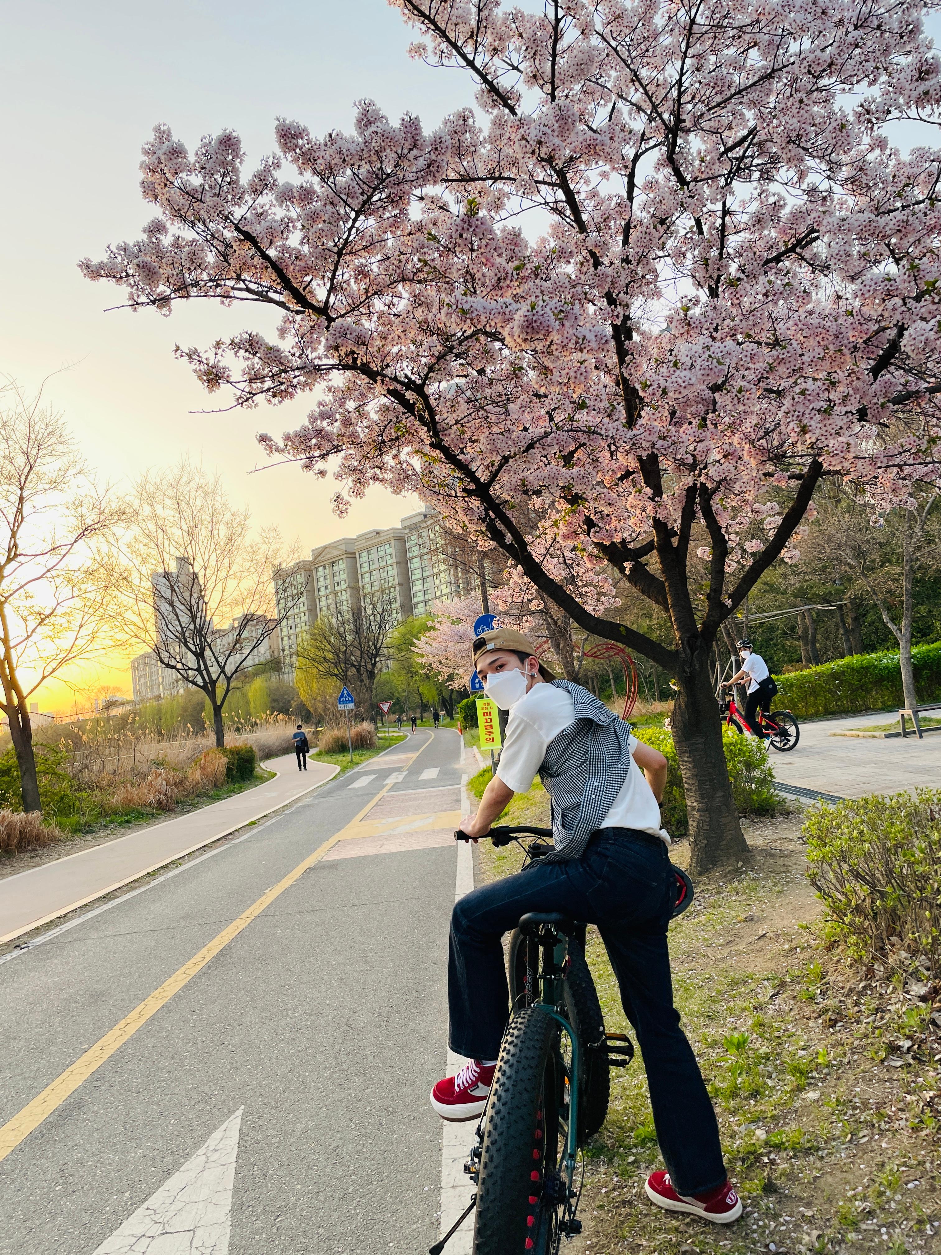 [잡담] 트레저 다른 멤버로 살기 하는거 보면 각자 스타일 다른거 느껴져 | 인스티즈