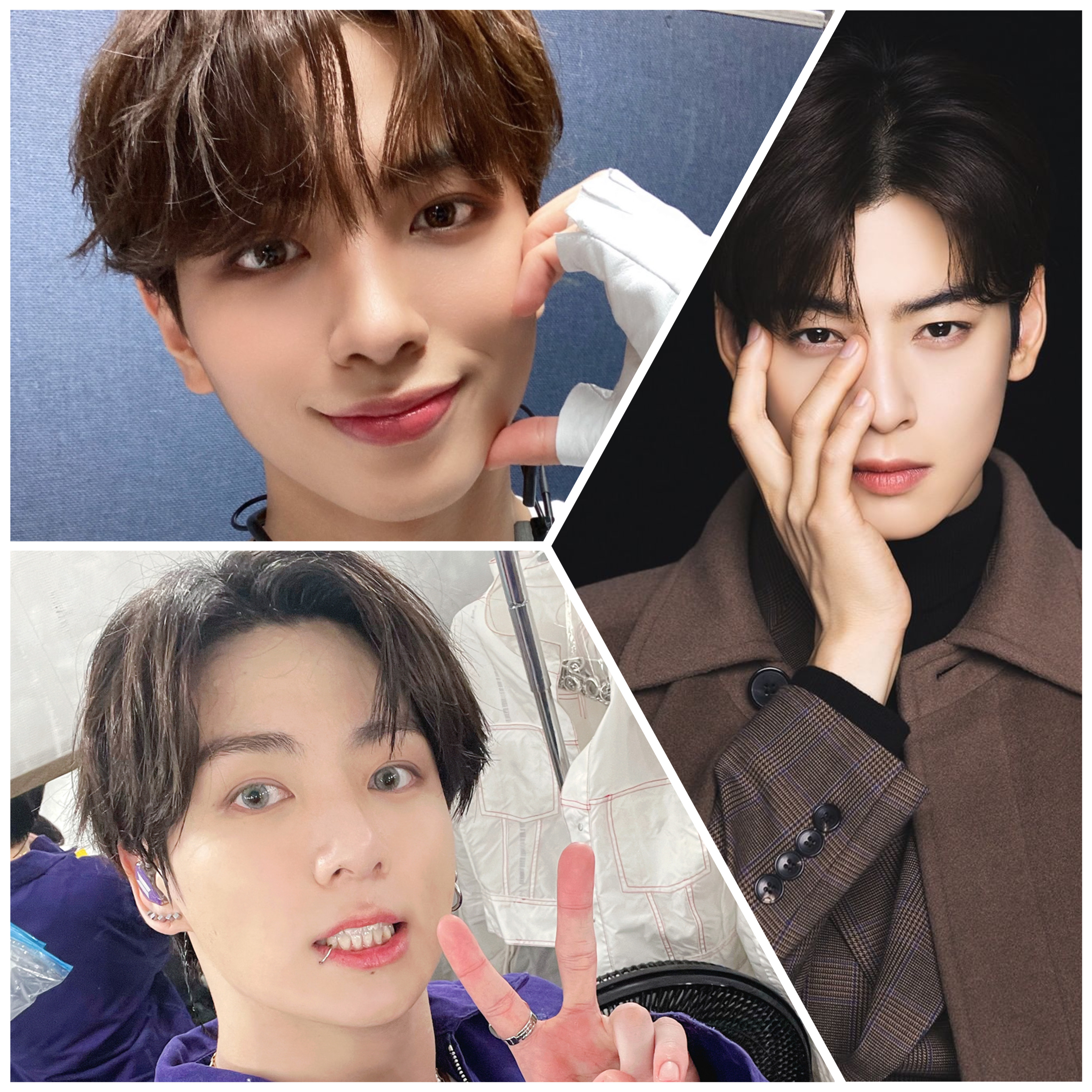 [잡담] 취향표 만들었는데 어때? | 인스티즈