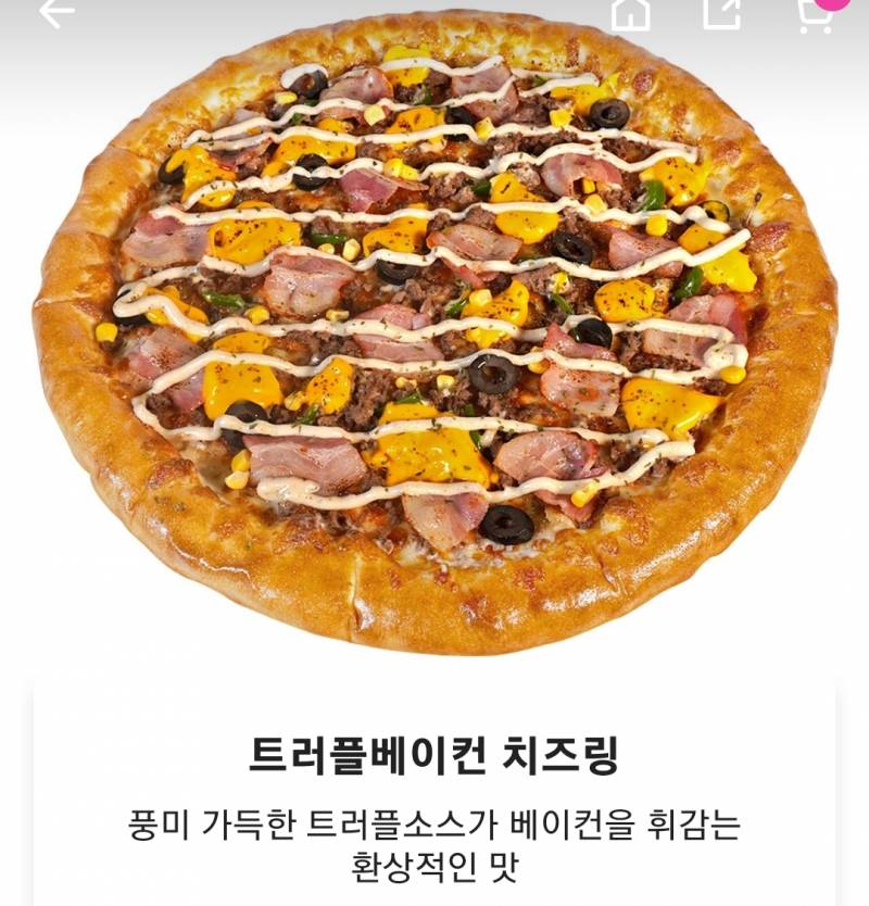 반올림 피자 메뉴 골라줄 사람!! - 인스티즈(instiz) 일상 카테고리
