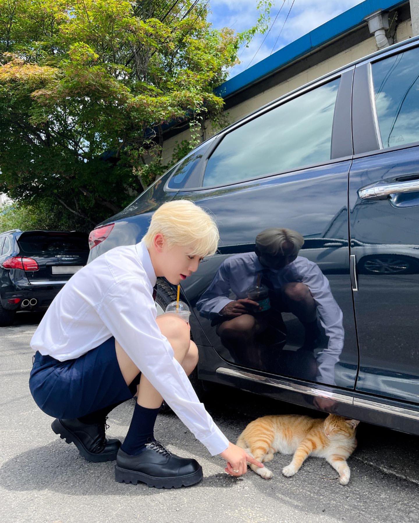 [잡담] 부승관 아기 탕평책 | 인스티즈