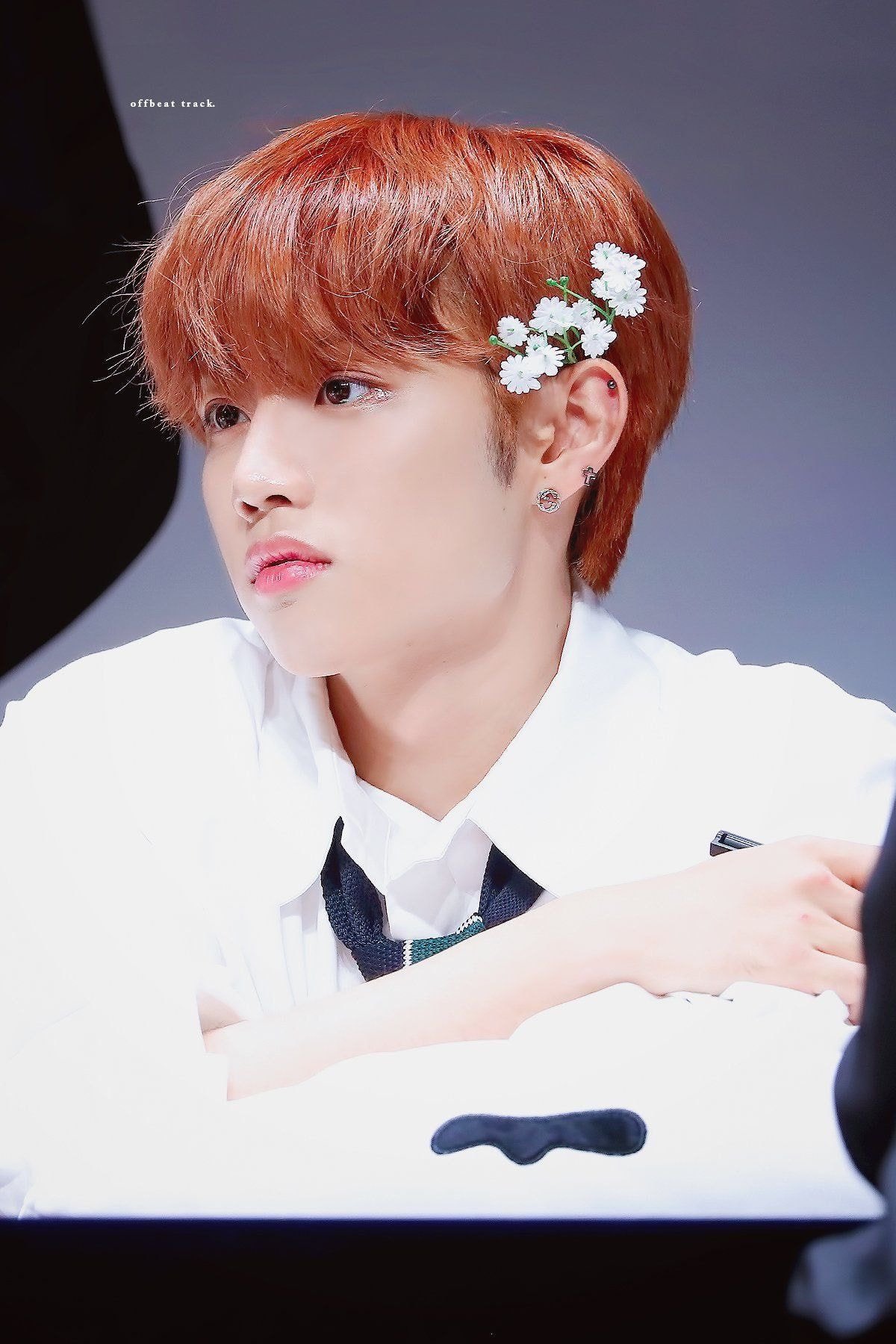 [잡담] 더보이즈 선우 진짜 푸들강아지야 | 인스티즈