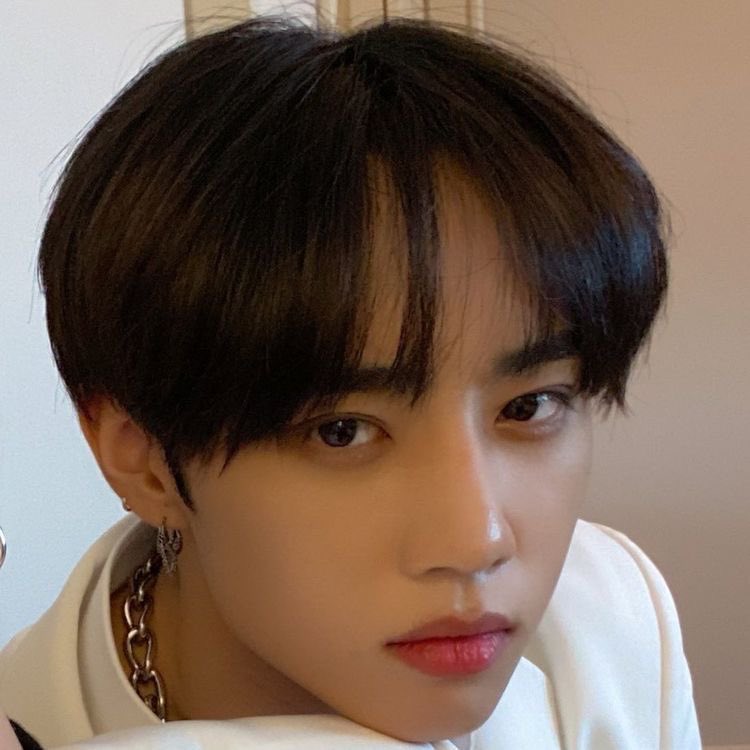 [잡담] 더보이즈 선우 진짜 푸들강아지야 | 인스티즈