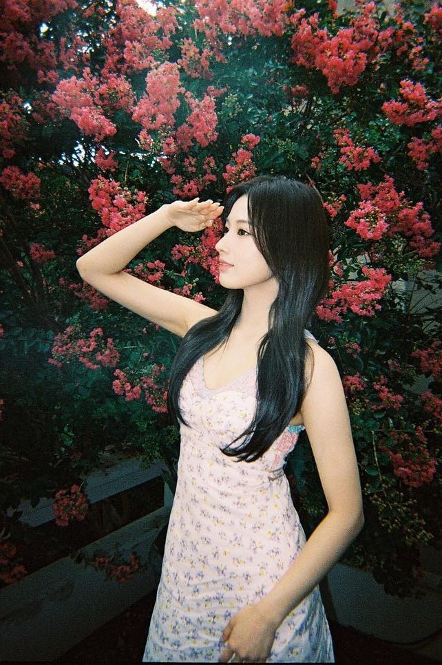 [잡담] 엔믹스 꽃배경 넘 예쁘다.. | 인스티즈