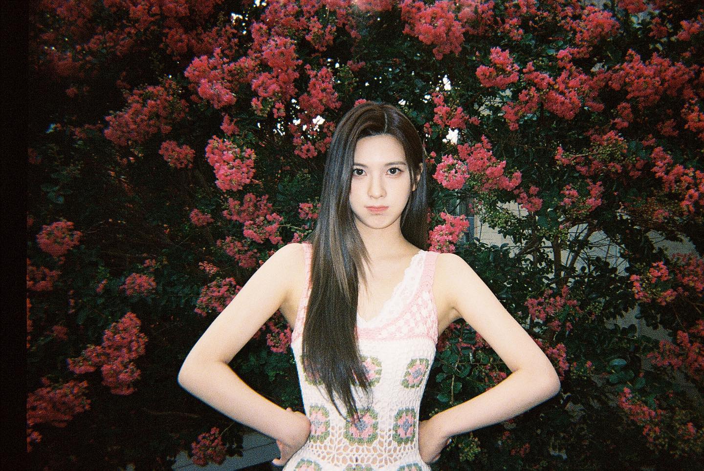 [잡담] 엔믹스 꽃배경 넘 예쁘다.. | 인스티즈