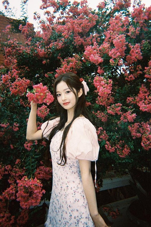 [잡담] 엔믹스 꽃배경 넘 예쁘다.. | 인스티즈