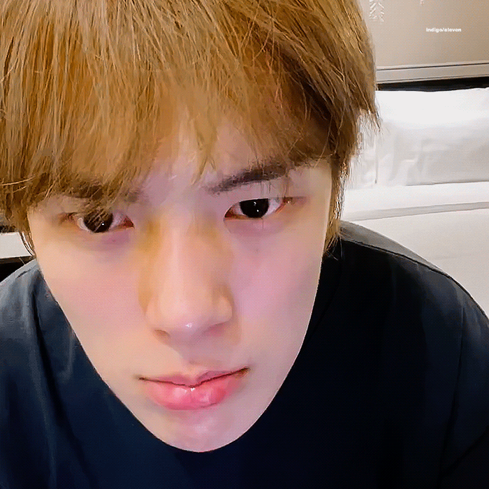 [잡담] 하.. 새삼 내 강아디 개쩐다 | 인스티즈