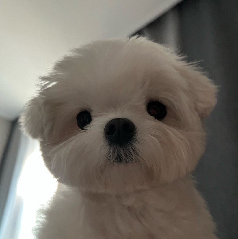 [잡담] 정구가 정신이 드니 | 인스티즈