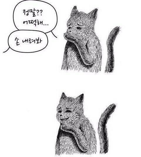 [잡담] 아 오늘 좋은 소식들이 많네^^ | 인스티즈
