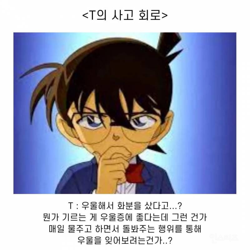 친구의 "우울해서 화분 샀어."에 "무슨 화분인데?"라고 대답하는 T의 사고 회로 | 인스티즈