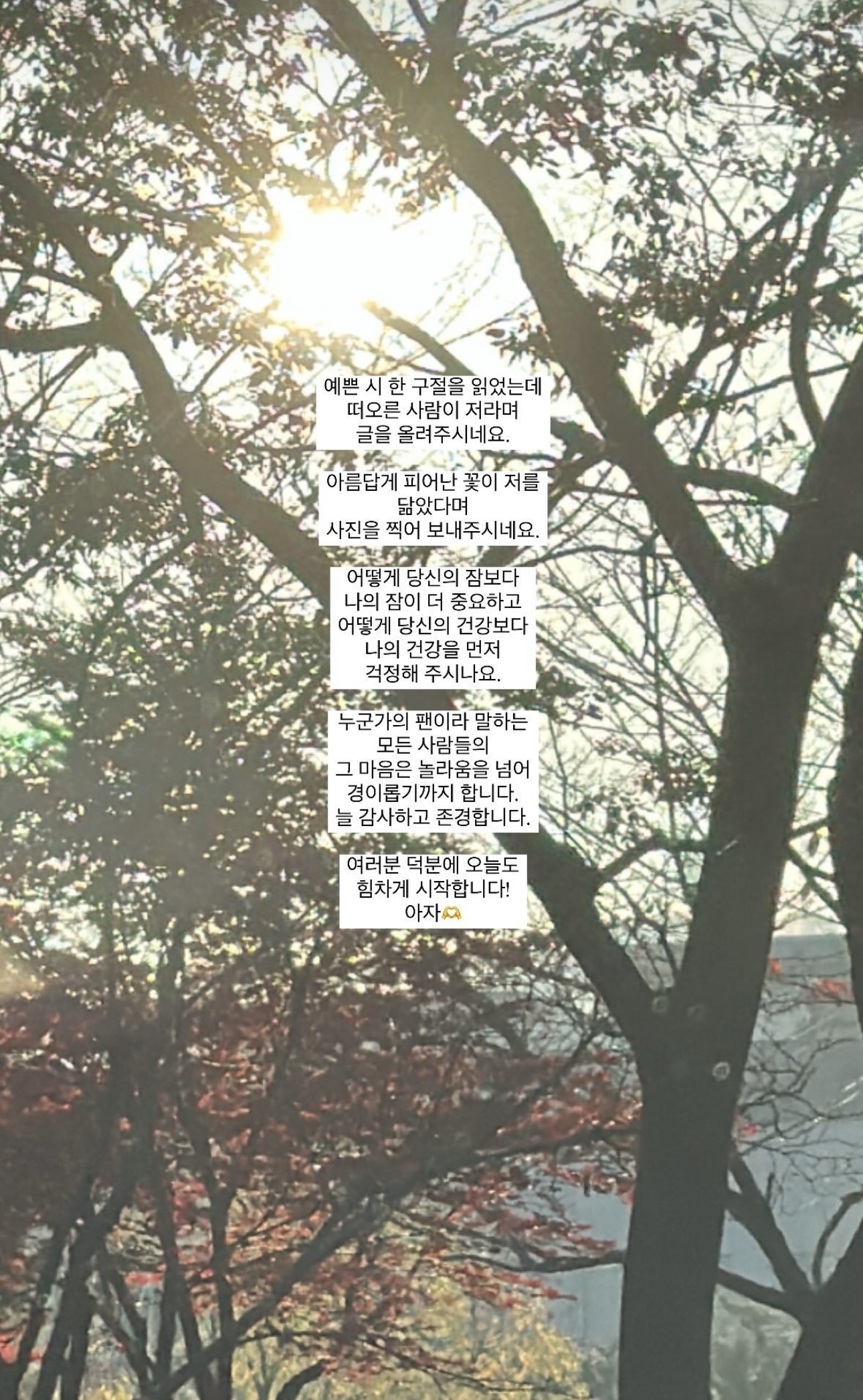 [잡담] 이거 아이돌 팬이라면 다 감동할 만한 글인 듯 | 인스티즈