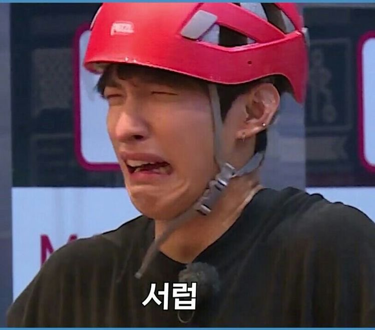 [잡담] 한국 캐럿들 너무 티나잖아요 ㅈㅇ 세븐틴 | 인스티즈