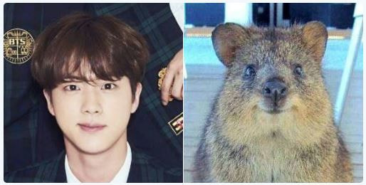 [잡담] 방탄 진 진짜 근본은 쿼카상이다 | 인스티즈