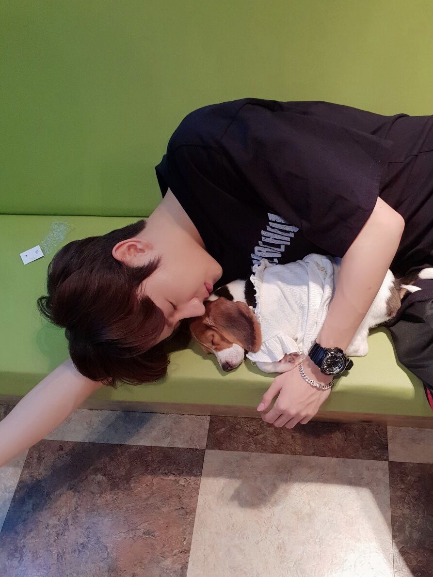 [잡담] 더보이즈 현재 이사진 출처 아는사람 | 인스티즈