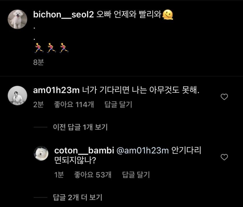 [잡담] ㅇㄴㅋㅋ 환연 출연진들 인스타 댓글로 본인들 유행어 쓰는거 짱웃곀ㅋㅋㅋ | 인스티즈