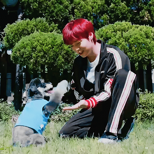 [잡담] 나 평지훈 하기로 다짐했어,,,,,,,,, | 인스티즈