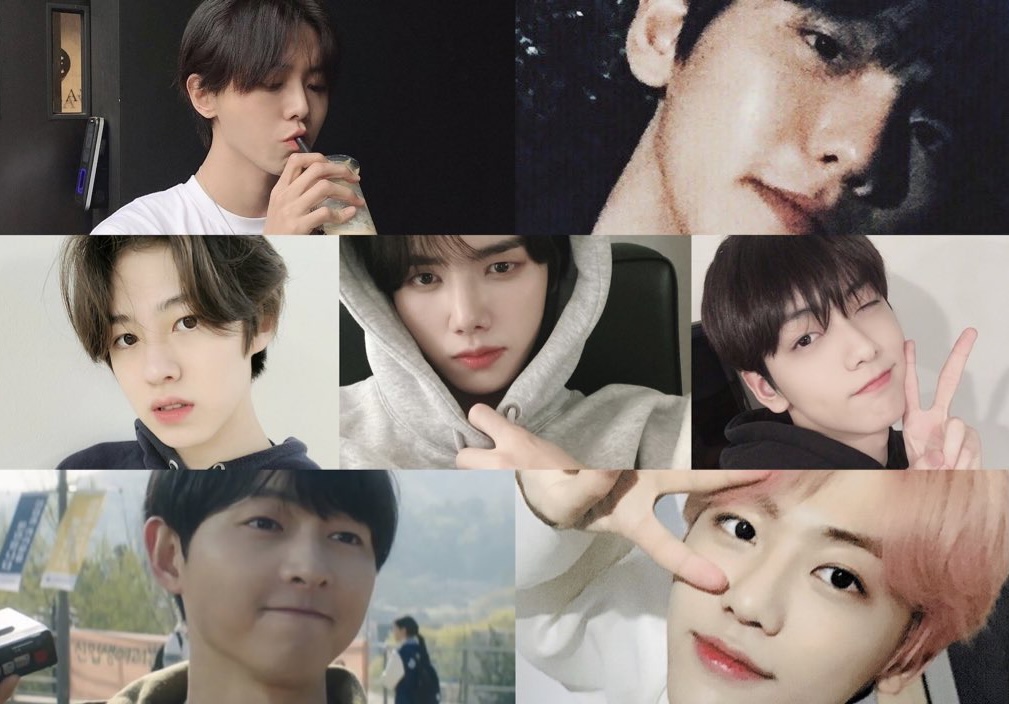 [잡담] 나도 소나무야? | 인스티즈