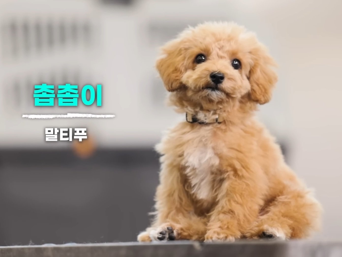 [잡담] 이거 너무 이창섭 | 인스티즈