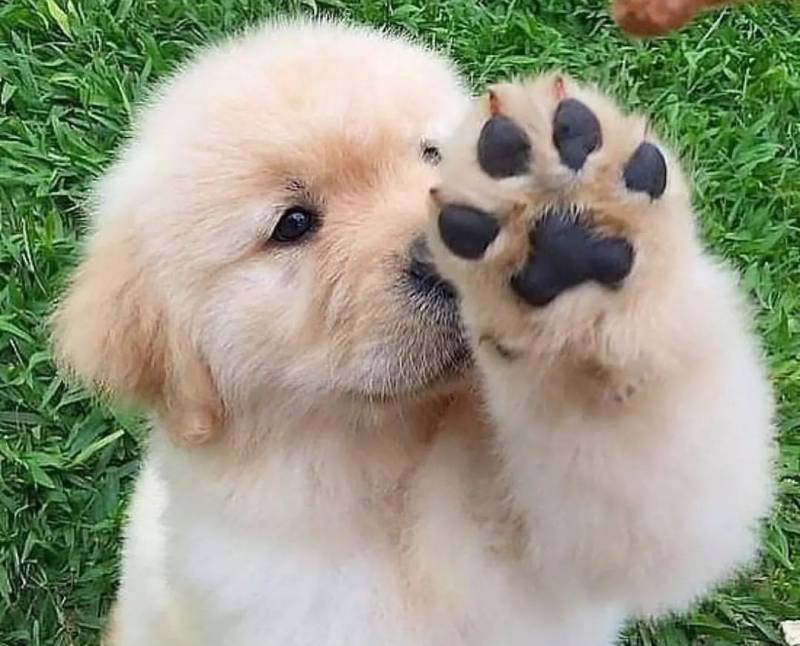 너네 횡단보도 기다리는데 뒤에서 누가 자꾸 엉덩이 밀치면 어떻게 할건지 생각하면서 들어와봐 | 인스티즈