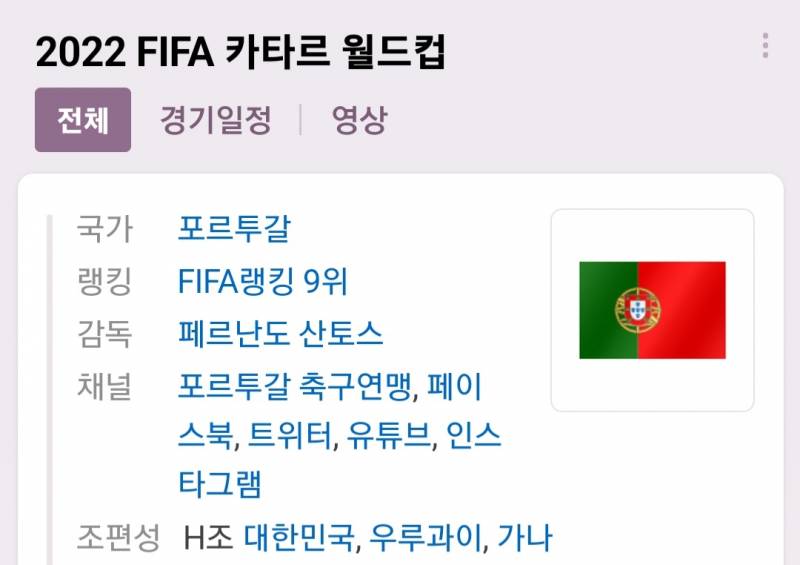 월드컵 개재밌는 이유 | 인스티즈