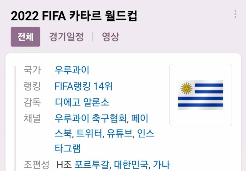 월드컵 개재밌는 이유 | 인스티즈