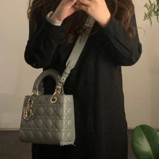 ⭐️레이디 디올 가방 무슨 색이 제일 예뻐....?⭐️ | 인스티즈