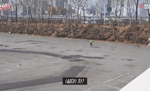 이상한데서 본인 종목 짬바 나오는 운동선수들 | 인스티즈