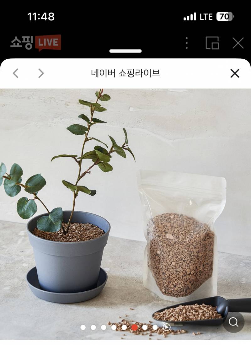 화산석가습기써본사람?? | 인스티즈