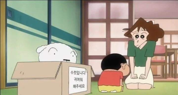 짱구 이거 너무 귀엽고 안쓰러 ㅋㅋ ㅠㅠㅠ | 인스티즈