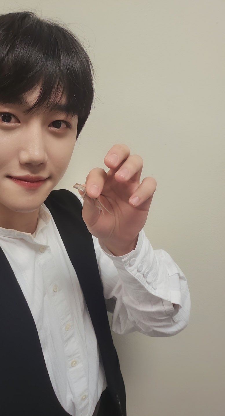 [잡담] 뮤직뱅크에선 매미 잡고 남미투어가서는 도마뱀 잡아 보여주는 남성 | 인스티즈