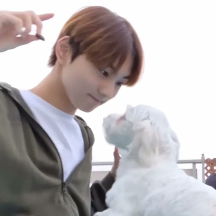 [잡담] 강아지 교육시키는 고양이 | 인스티즈