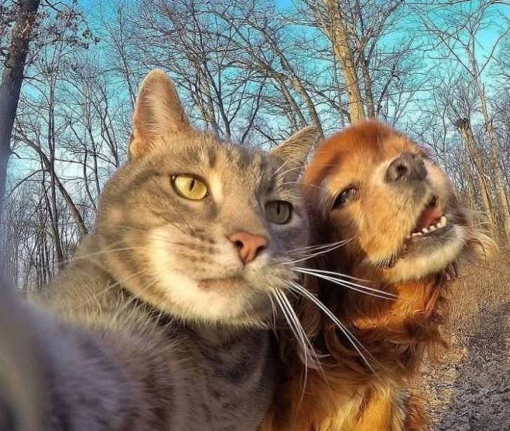 [잡담] 아 벤투 인스타 글 봤는데 셀카 이렇게 찍을 것 같음 | 인스티즈