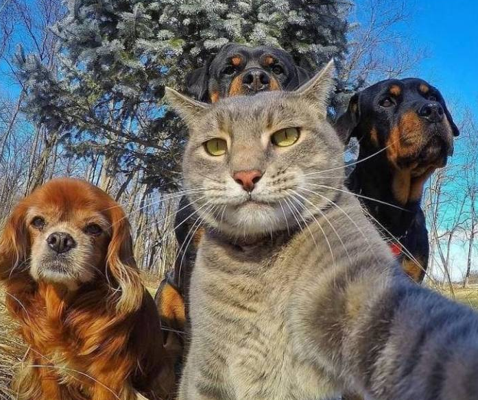 [잡담] 아 벤투 인스타 글 봤는데 셀카 이렇게 찍을 것 같음 | 인스티즈