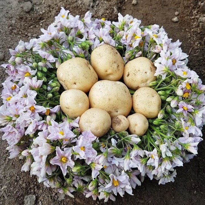 [잡담] 아 방탄 주접미쳤나ㅋㅋㅋㅋㅋㅋ | 인스티즈