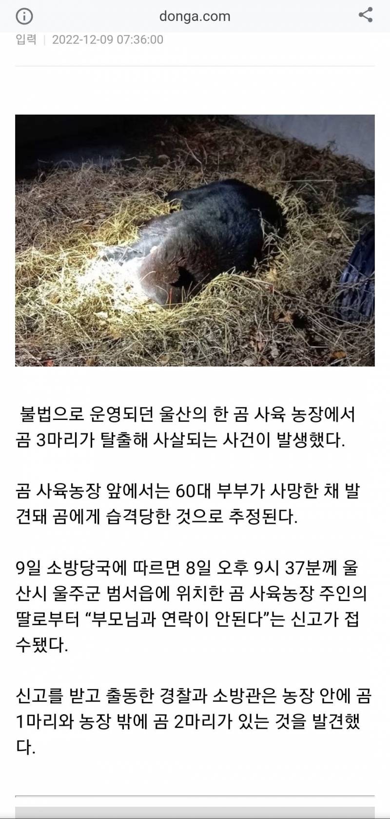 울산 곰 탈출사건, 멸종위기종인 반달가슴곰 불법사육농장으로 밝혀져(혐오주의) | 인스티즈