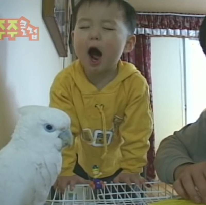 [잡담] 이 글 들어오면 바보 | 인스티즈