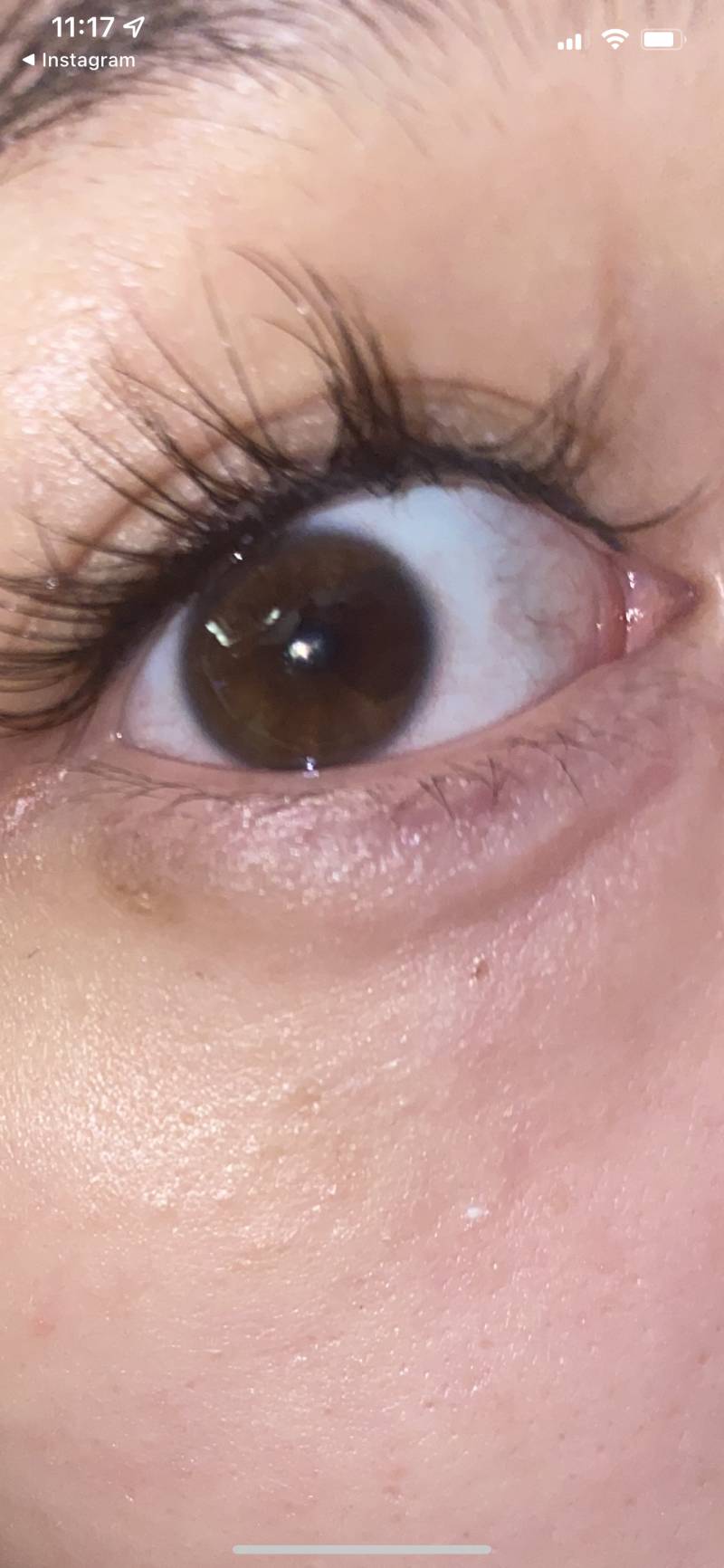 와 애들아 나이거 그거아니야? 오드아이인가 | 인스티즈