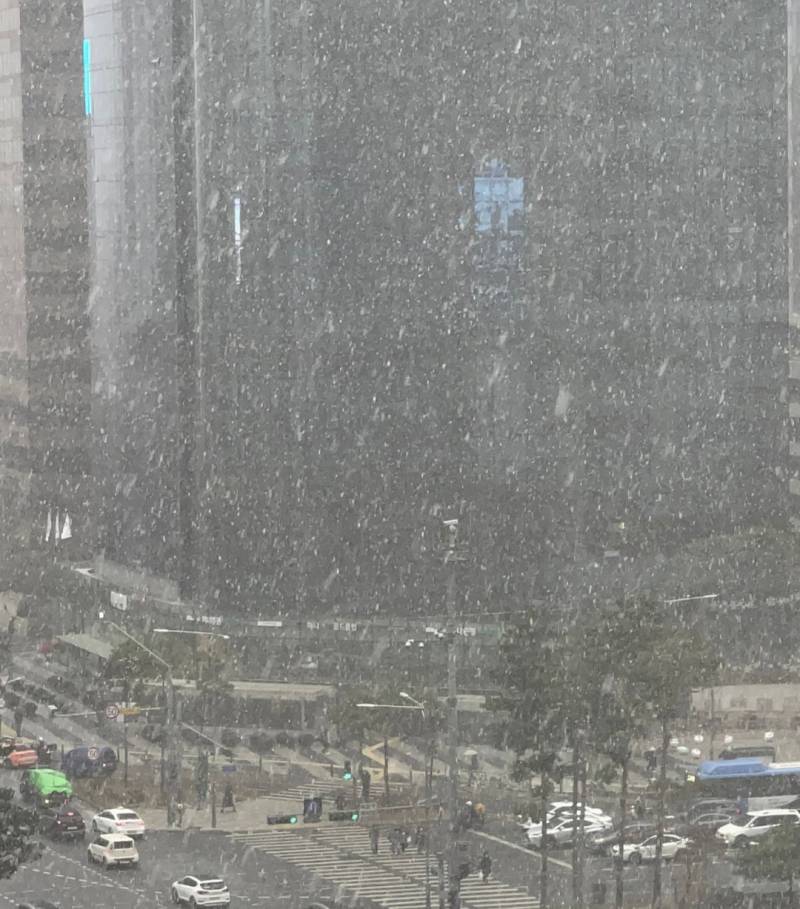 지금 서울이라는데 눈 많이 내리네 | 인스티즈