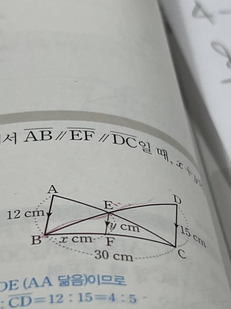 수학 잘알 익들 도와줘!! | 인스티즈