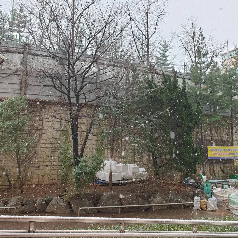 눈 펑펑 내린다 | 인스티즈