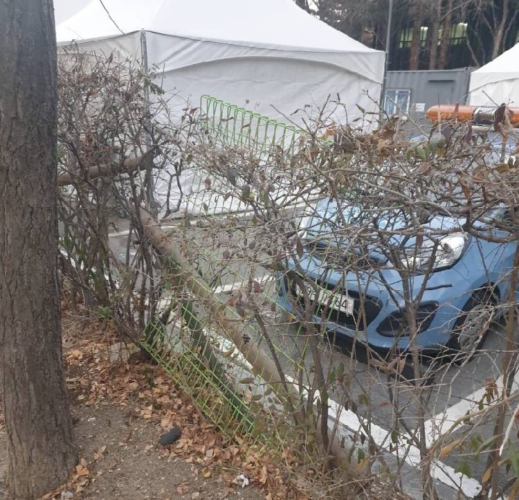 주차장에 있는 저 초록색을 뭐라고 불러?? | 인스티즈