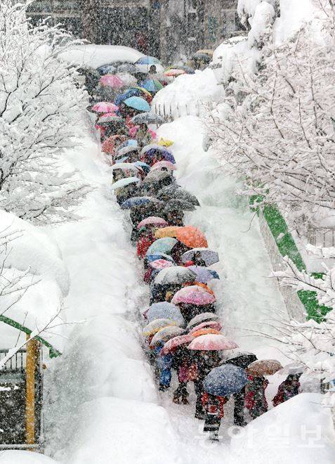 눈안오는 지역에 사는 익들아 만약에 눈 이만큼 오면 ㄹㅇ 다 휴교임?? | 인스티즈