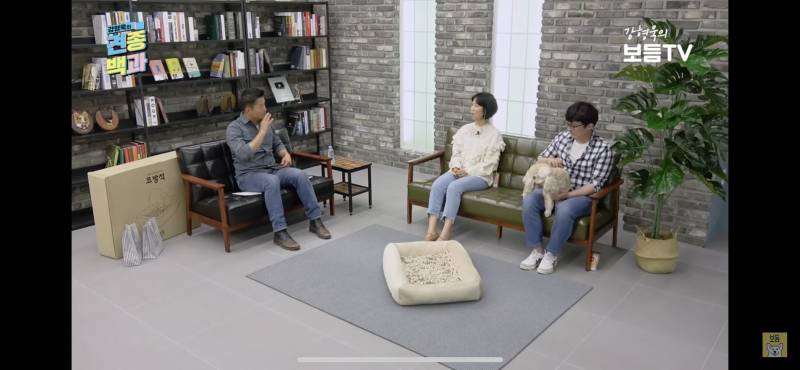 견종백과 보는데 강아지들 이거 너무 귀여워ㅠ | 인스티즈